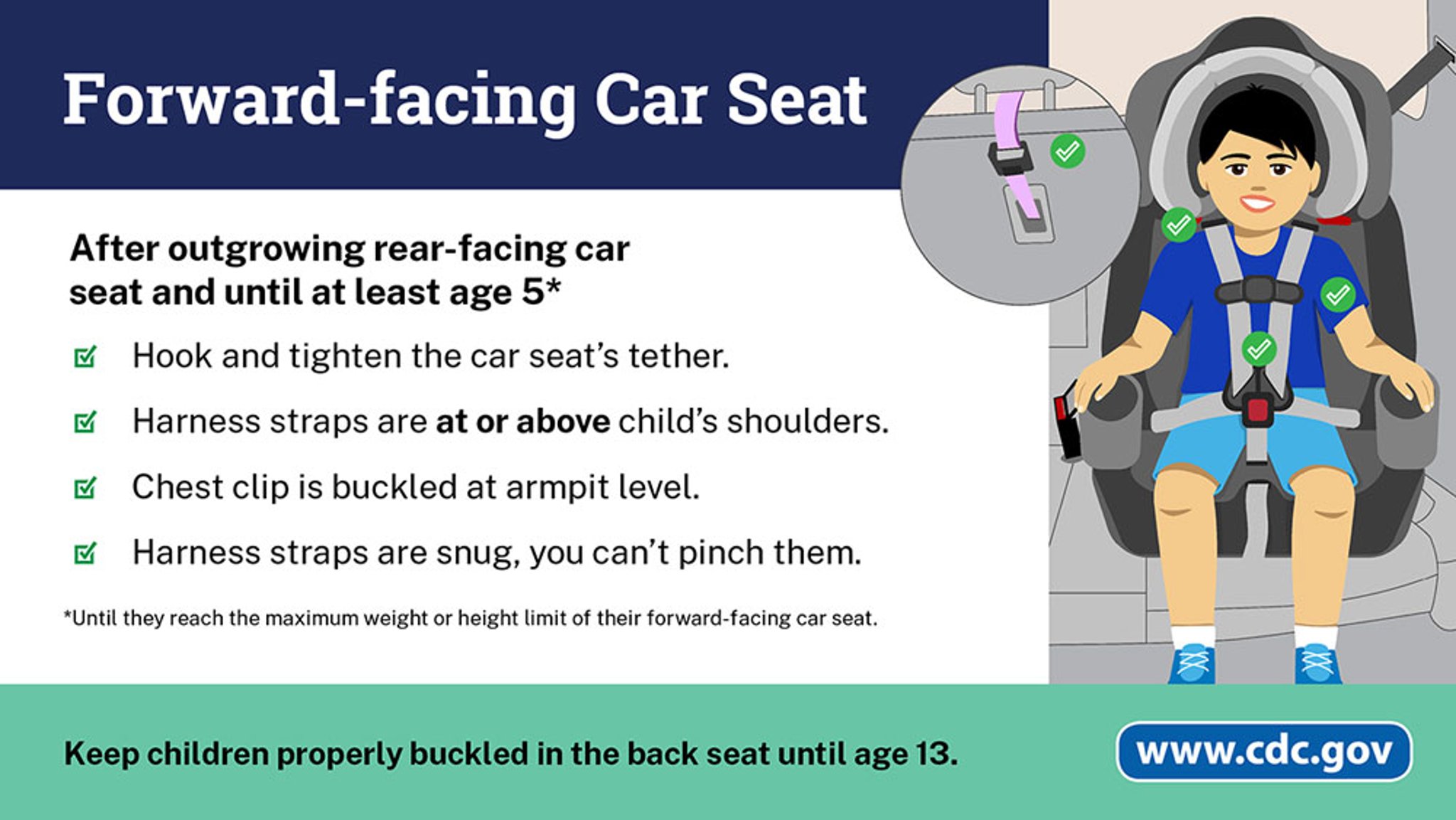 Guidance About Forward-Facing Car Seats
