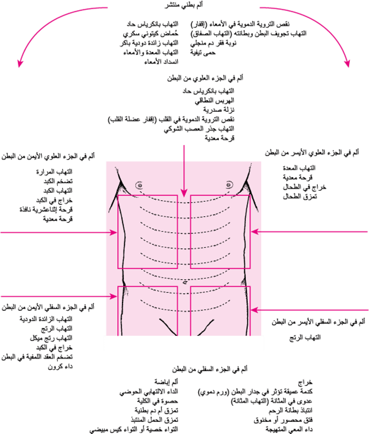 أسباب الألم البطني حسب الموضع