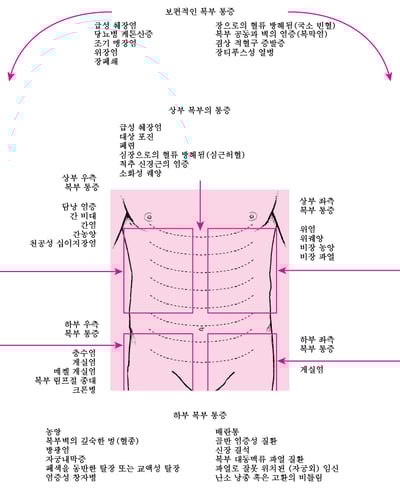 위치별 복통 원인