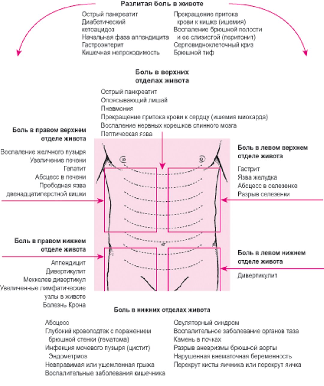 Причины боли в животе, в зависимости от местоположения