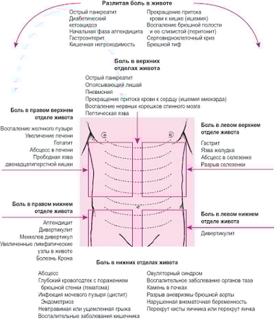 Причины боли в животе, в зависимости от местоположения