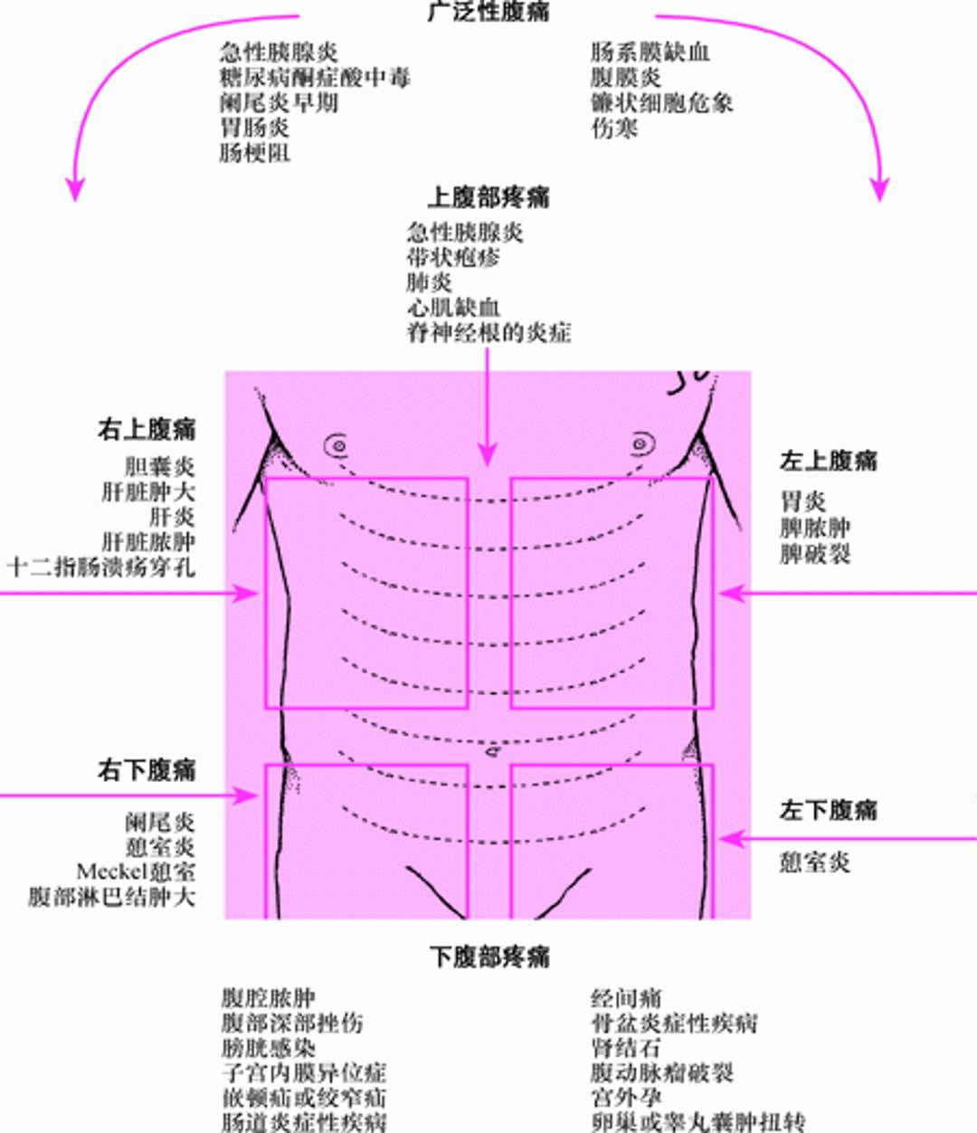 不同位置疼痛原因