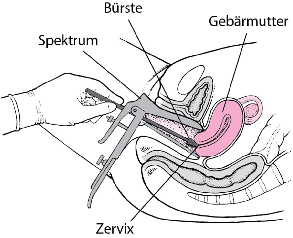 Pap-Test