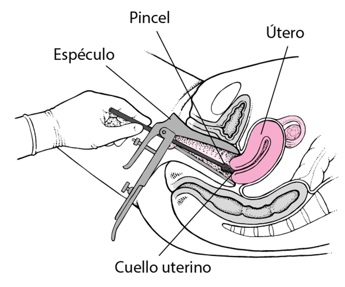 Prueba de Papanicoláu