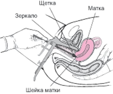 Пап-тест