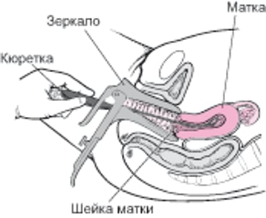 Р и В