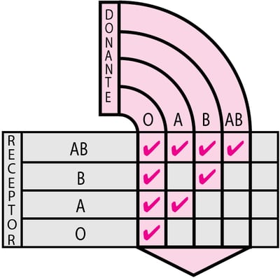 Grupos sanguíneos compatibles