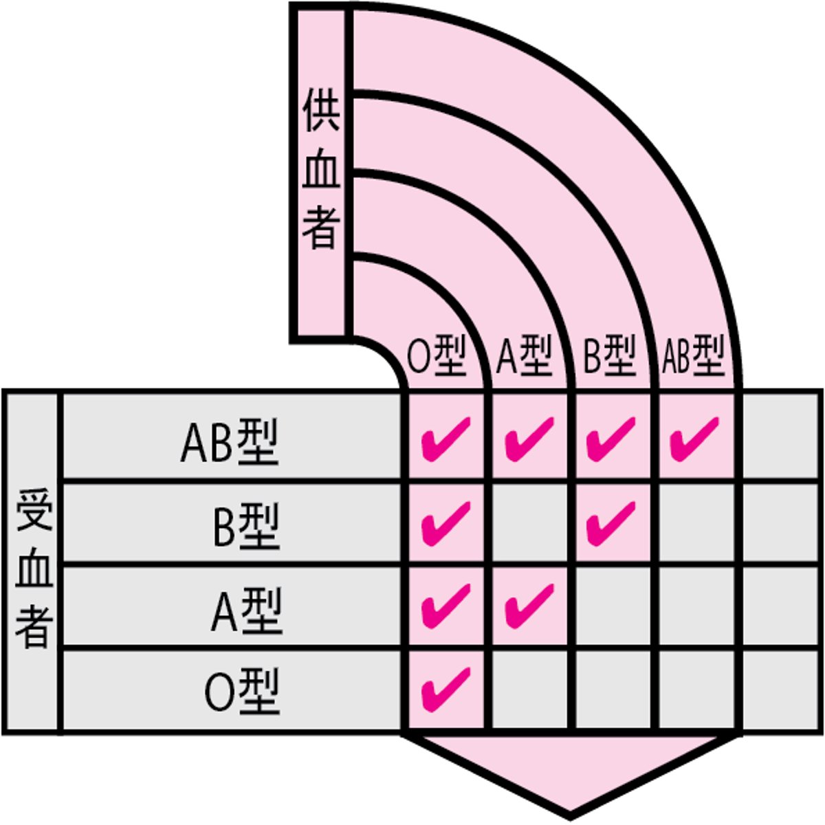 適合する血液型