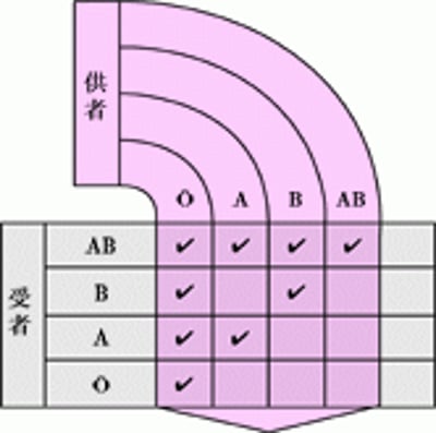 相容血型