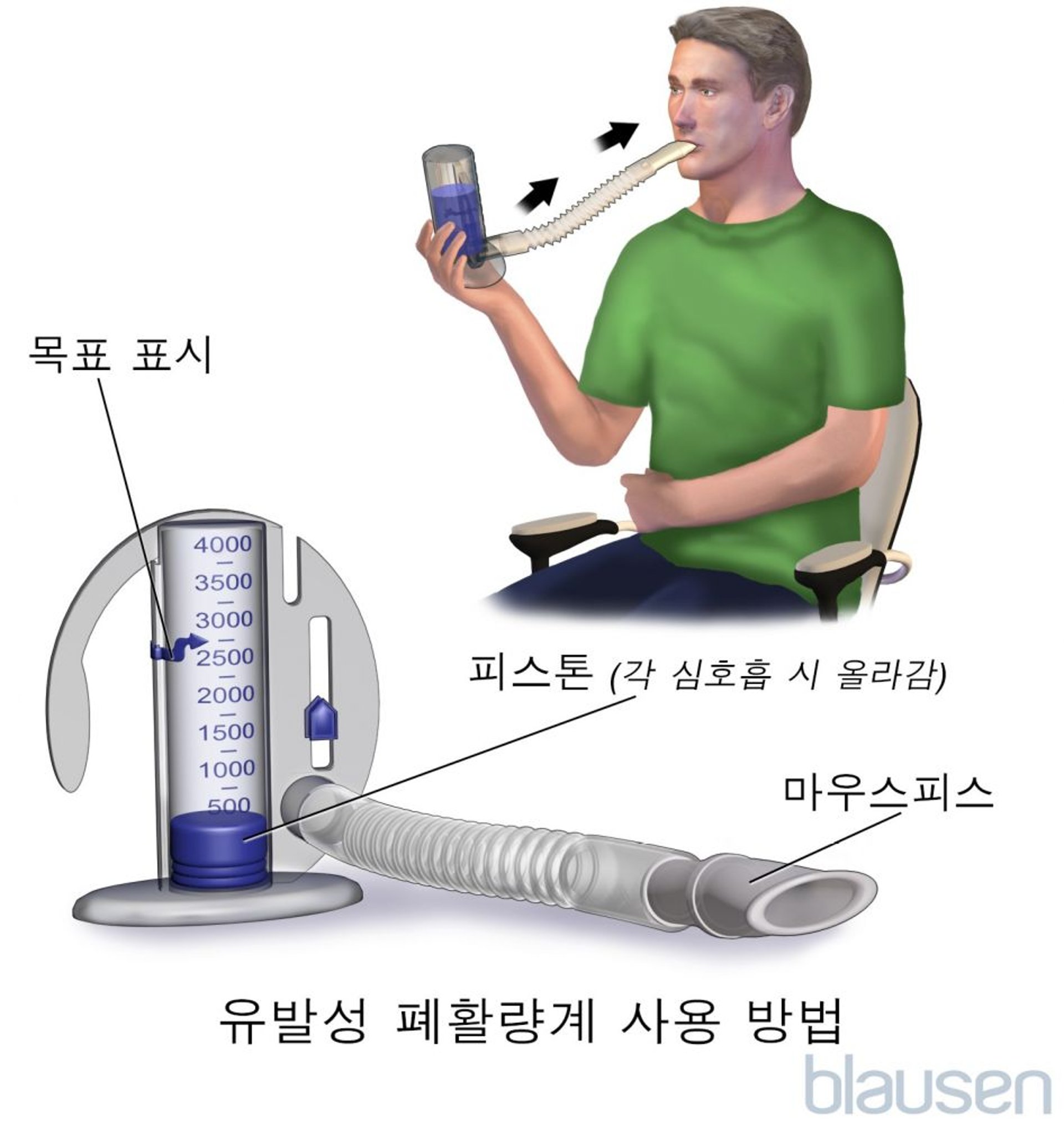 유발 폐활량측정법