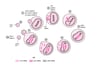 HIV के जीवन चक्र पर दवाओं के एक्शन की जगहें