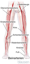 Beinarterien