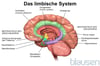 Das limbische System