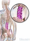 Parte inferior de la columna (lumbar)