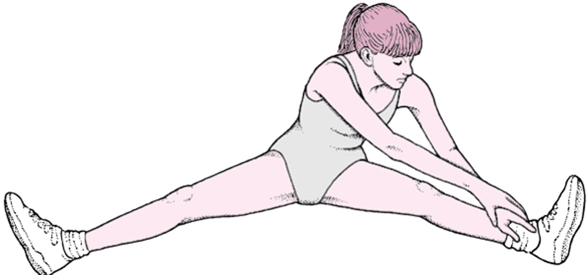 पीठ के निचले हिस्से में दर्द को रोकने के लिए व्यायाम