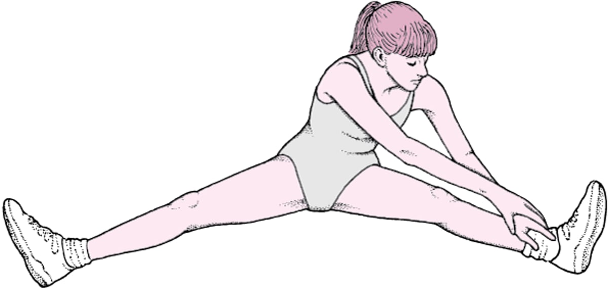 腰痛ようつうを予防よぼうするための運動うんどう