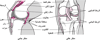 الركبة من الدَّاخل
