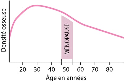 Perte de la densité osseuse chez les femmes