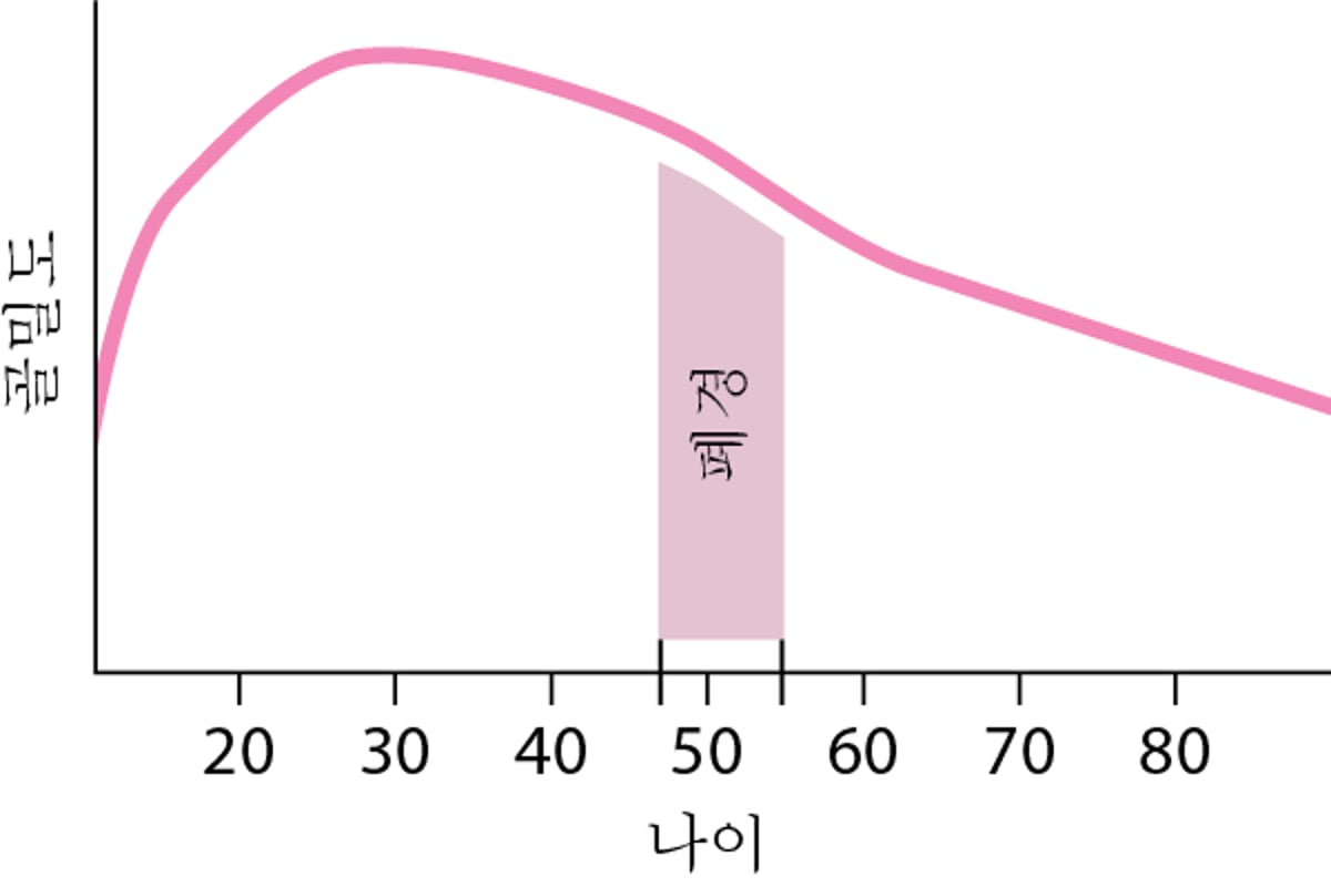 여성의 골밀도 손실