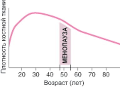 Снижение плотности костной ткани у женщин