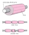 신경 섬유 절연