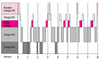 Stages of the Sleep Cycle