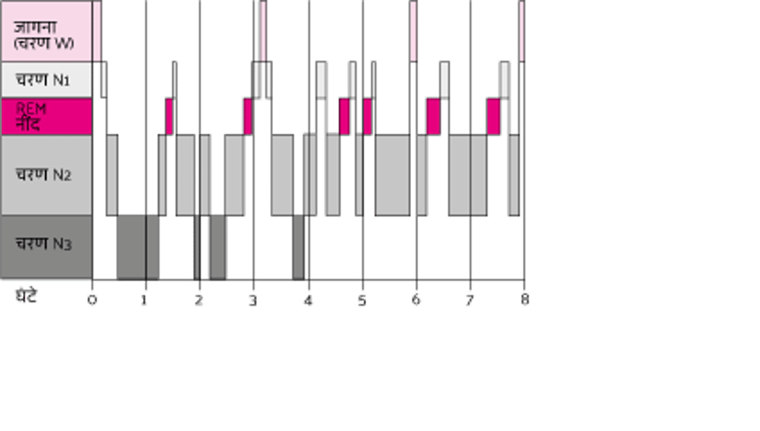 नींद के चक्र के चरण