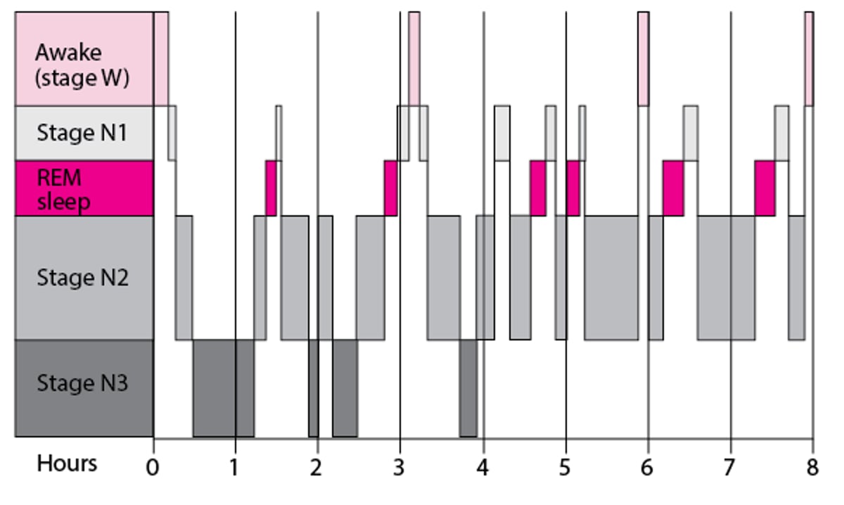 수면 주기 단계