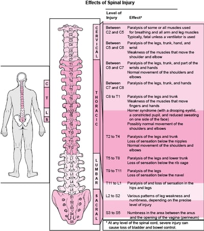 Where Is the Spinal Cord Damaged?