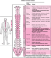 Onde a medula espinhal está lesionada?