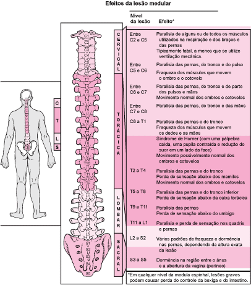 Onde a medula espinhal está lesionada?