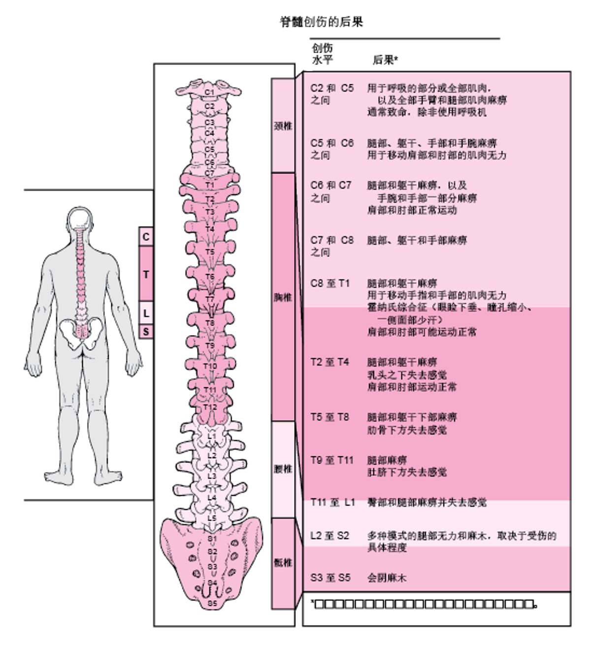 脊髓哪个部位损伤？