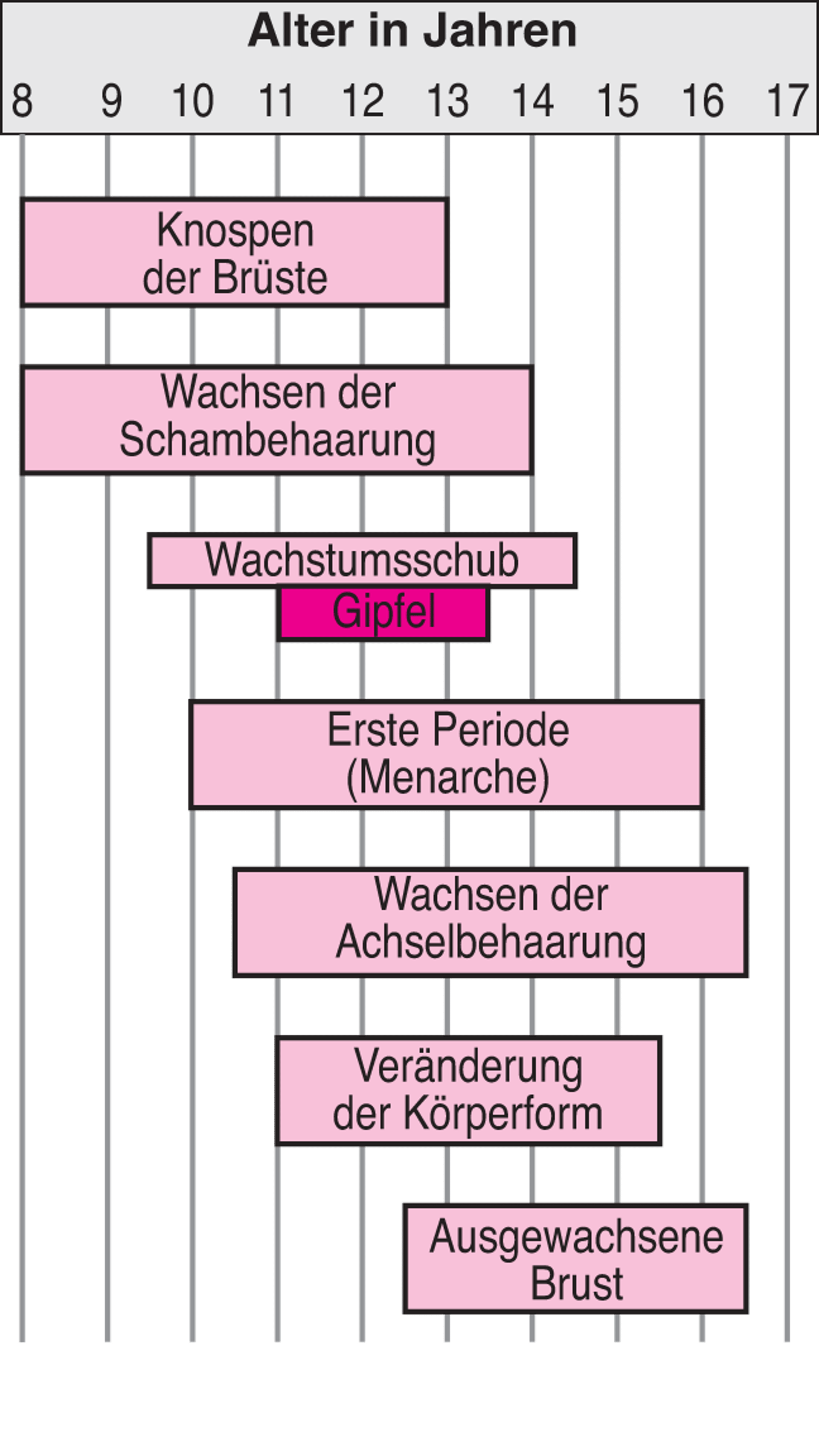 Meilensteine der sexuellen Entwicklung bei Mädchen