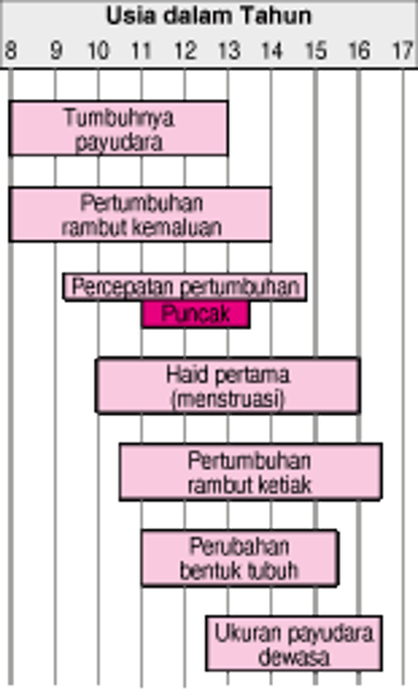 Tahapan Perkembangan Seksual pada Anak Perempuan