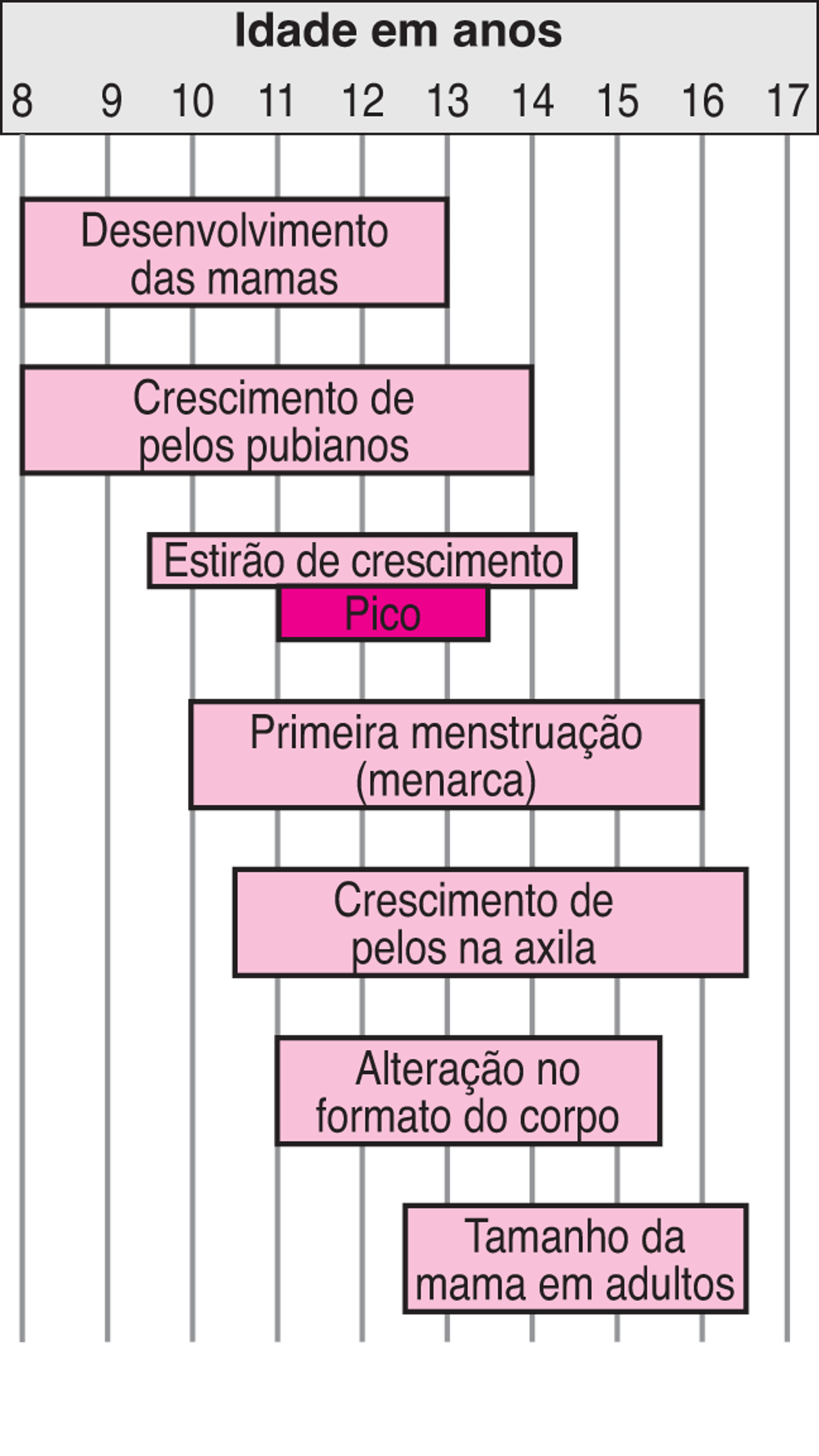 Marcos do desenvolvimento sexual de meninas