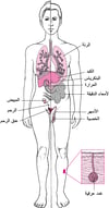 التليُّفُ الكيسي: ليس مجرَّد مرض رئوي
