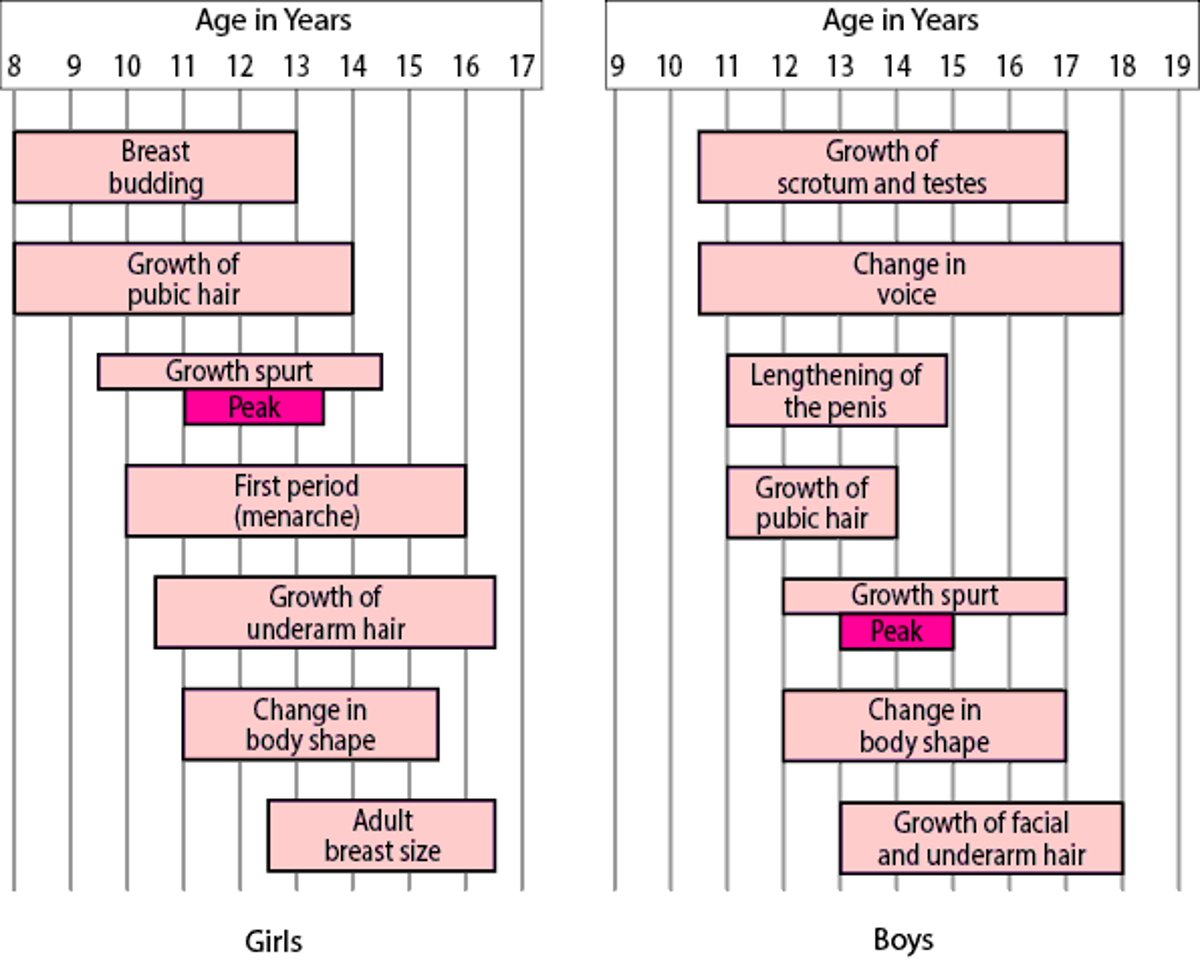 Milestones in Sexual Development