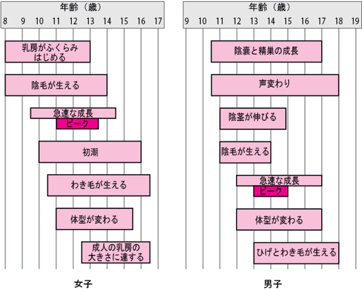 性的せいてき発達はったつの発達はったつ指標しひょう