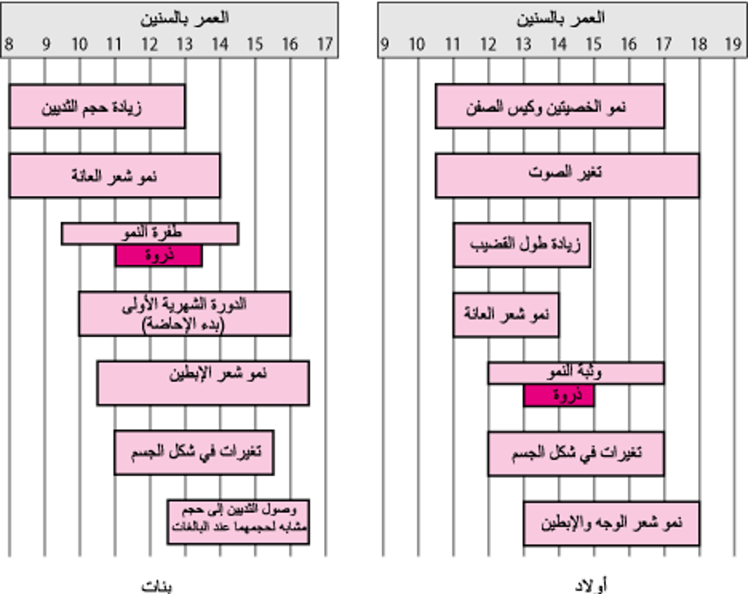 معالم النموِّ الجنسيّ