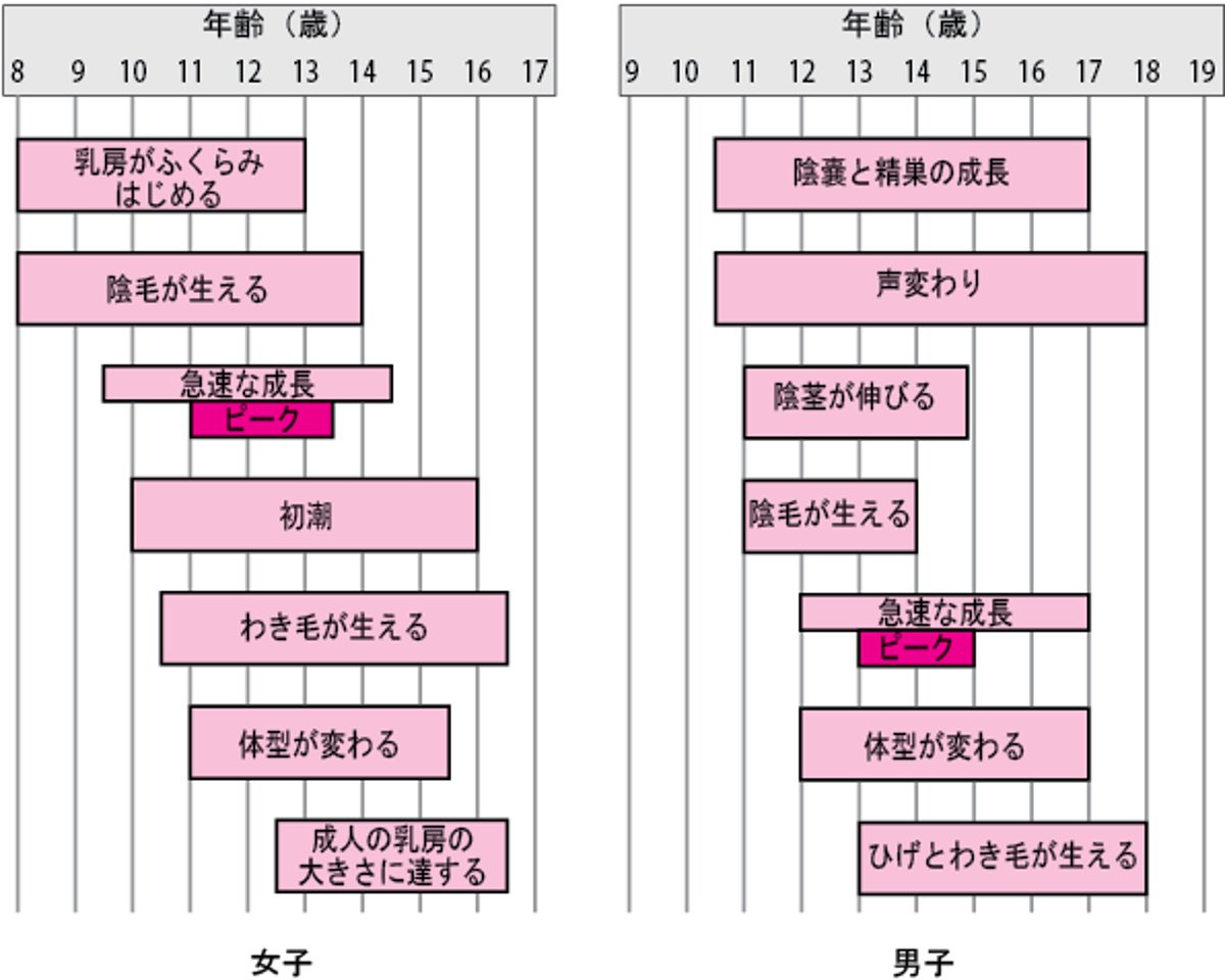 女児じょじおよび男児だんじの性的せいてき発達はったつの発達はったつ指標しひょう