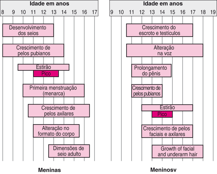 Puberdade precoce - Problemas de saúde infantil - Manual MSD Versão ...