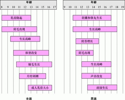 男孩和女孩性发育的里程碑