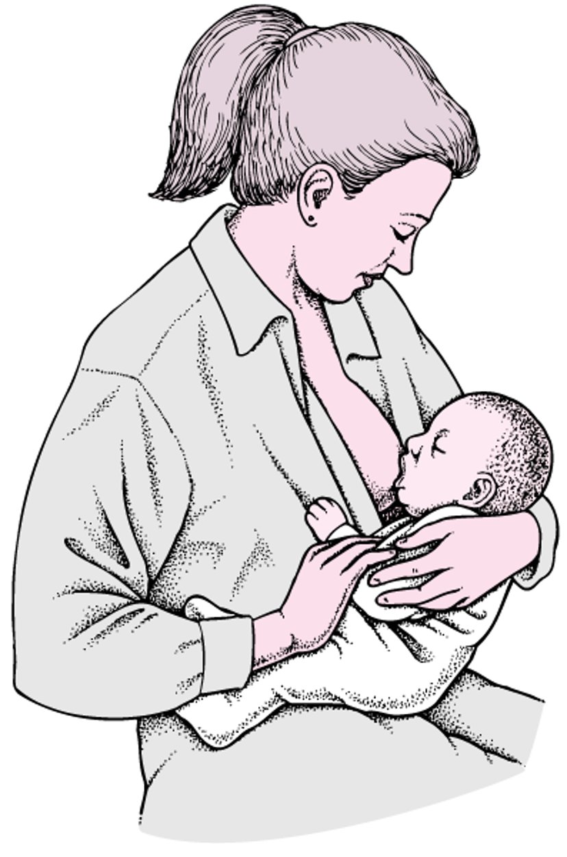 Positioning a Baby to Breastfeed