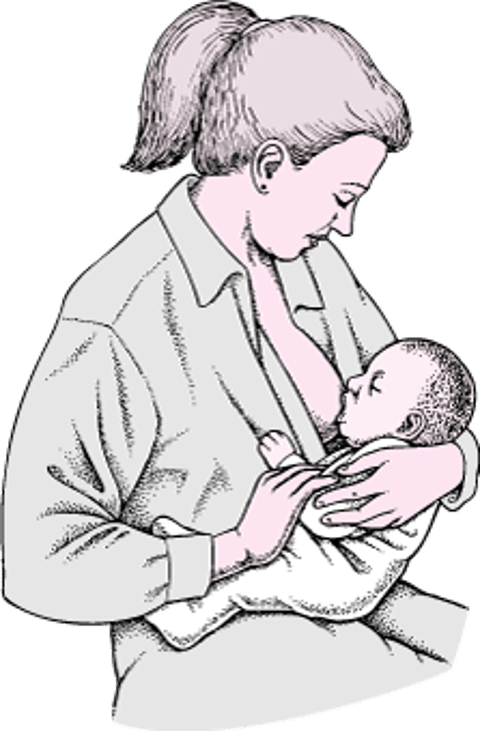 وضعية الطفل في أثناء الرضاعة الطبيعية