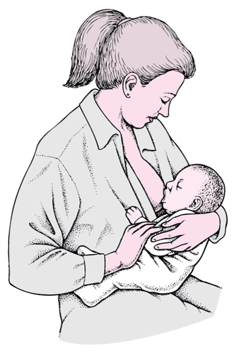 Posizionamento del bambino per l’allattamento al seno