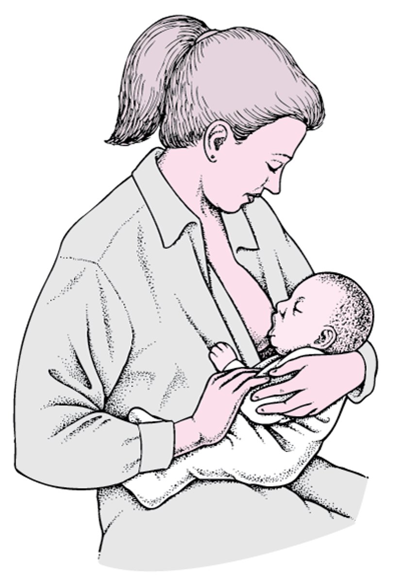 Posizionamento del bambino per l’allattamento al seno