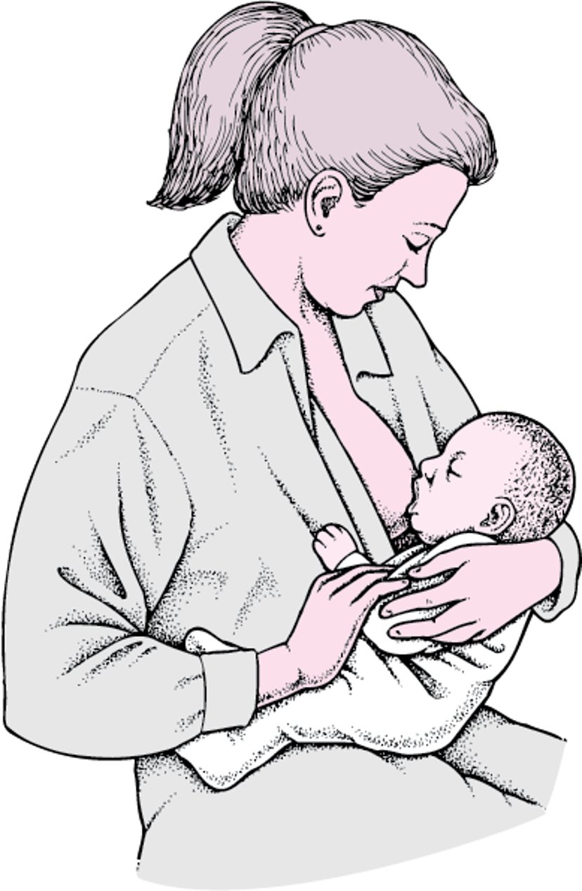 授乳時の赤ちゃんの抱き方