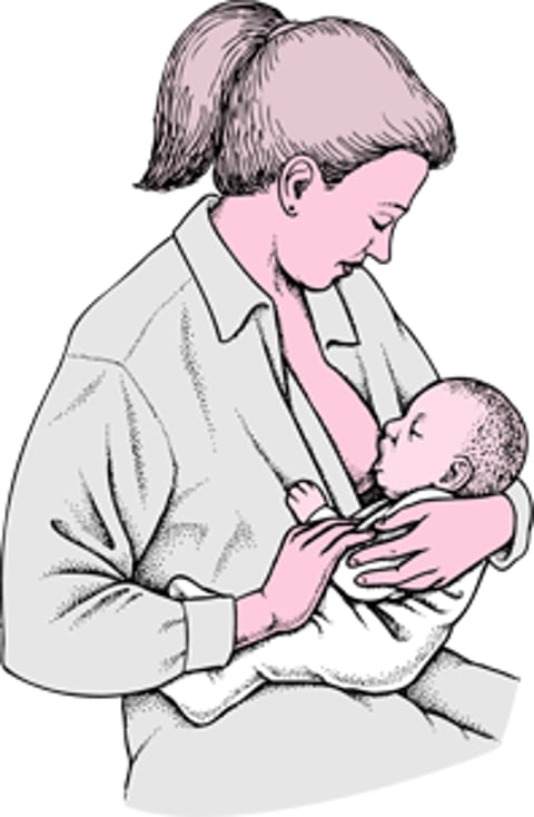 母乳喂养的姿势