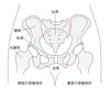 骨盤こつばんの骨折こっせつ