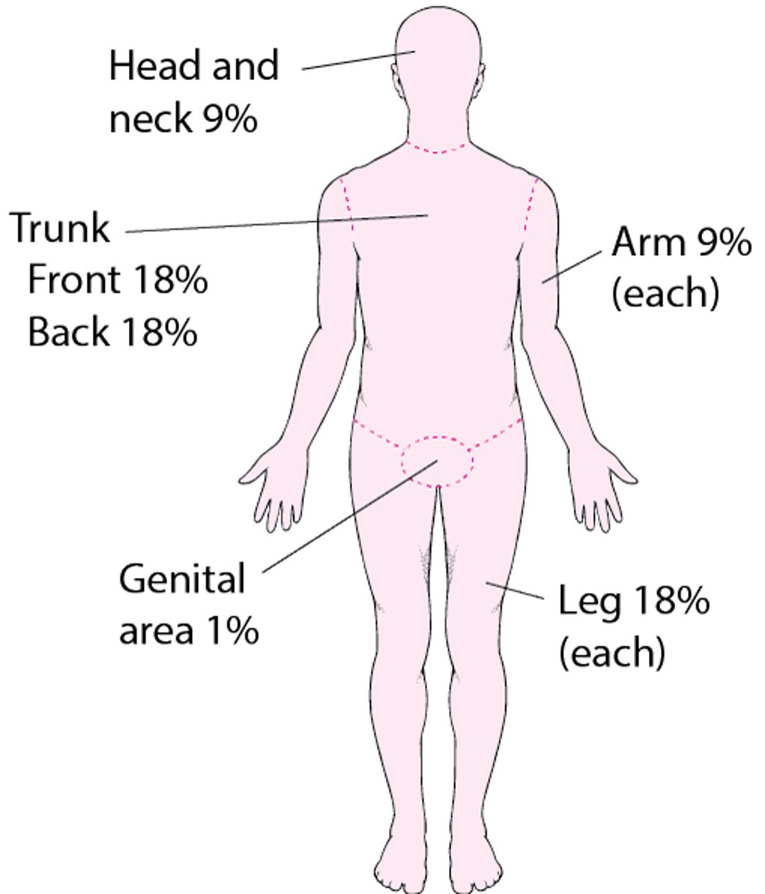 Estimating the Extent of a Burn